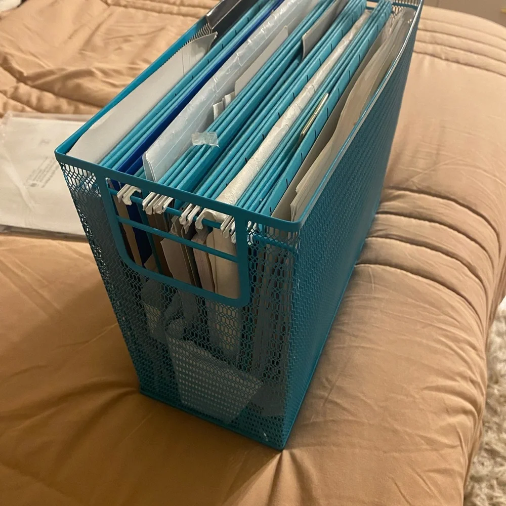 Blue Mesh File Organizer